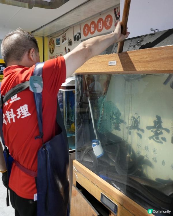 深圳人均只要不到100的炭烤活鰻