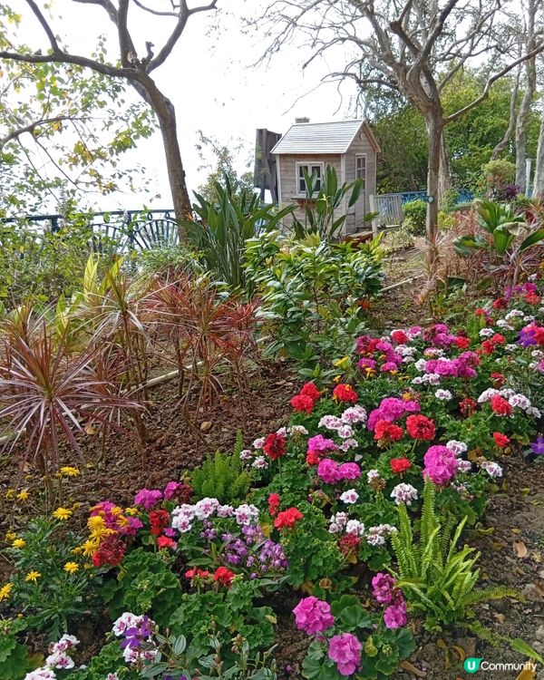  香港隱世瀑布，鬧市中嘅奇觀！🏞️