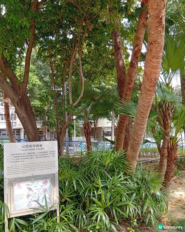  香港隱世瀑布，鬧市中嘅奇觀！🏞️