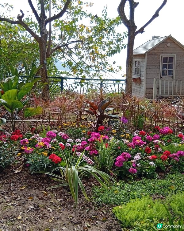  香港隱世瀑布，鬧市中嘅奇觀！🏞️