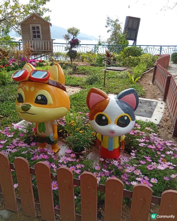  香港隱世瀑布，鬧市中嘅奇觀！🏞️