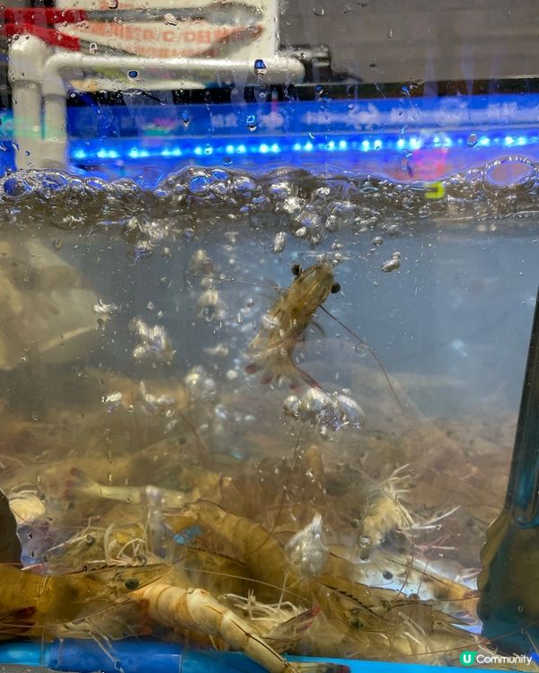 超豐富 . 泰式火鍋放題