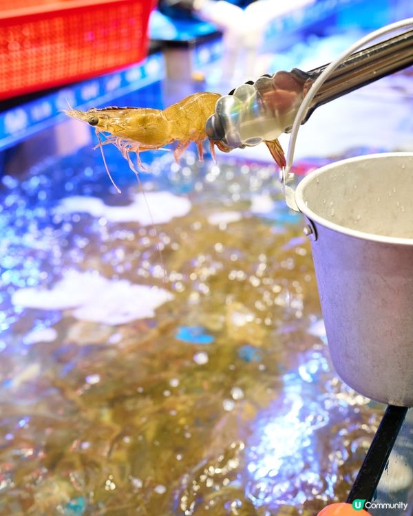 超豐富 . 泰式火鍋放題