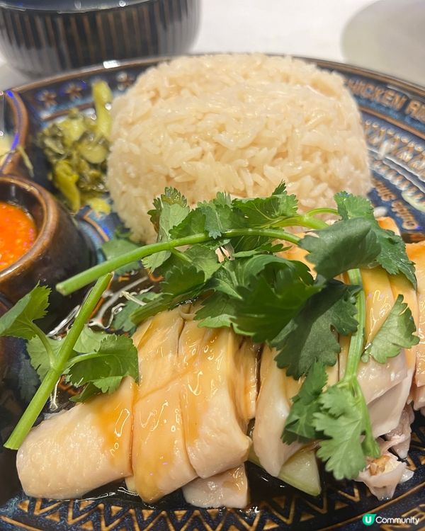 天天海南雞飯 🐔🍚 香港插旗！精緻料理，晚市早鳥優惠！🤩