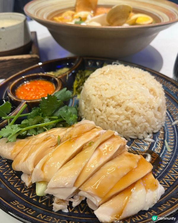 天天海南雞飯 🐔🍚 香港插旗！精緻料理，晚市早鳥優惠！🤩