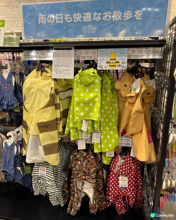 福岡寵物店の分享🛍️