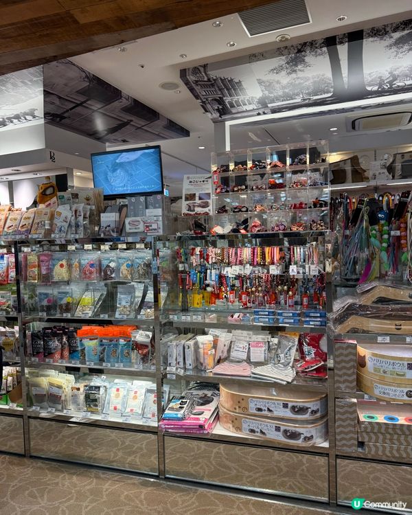 福岡寵物店の分享🛍️