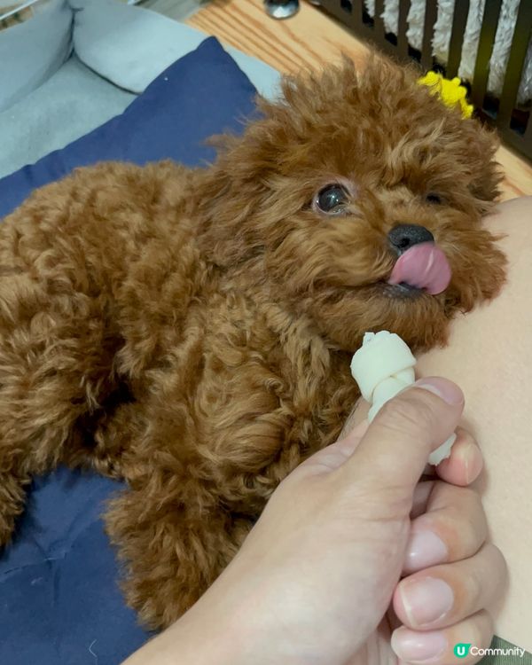 《點點》滴滴的生活