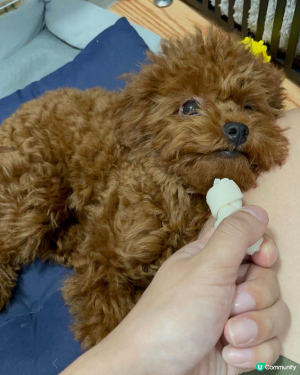 《點點》滴滴的生活