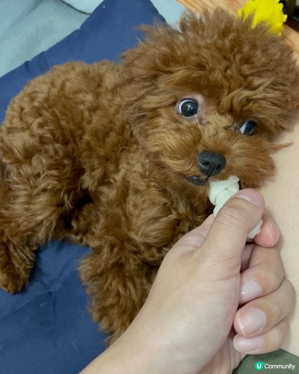 《點點》滴滴的生活