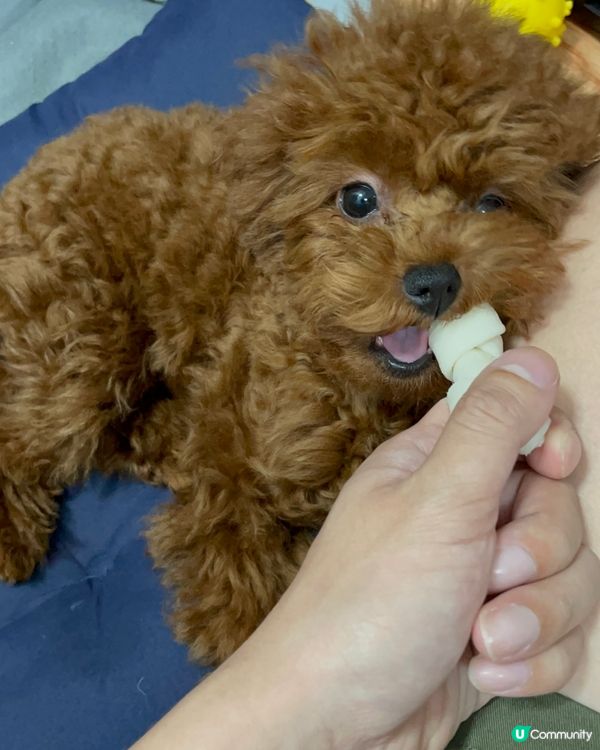 《點點》滴滴的生活