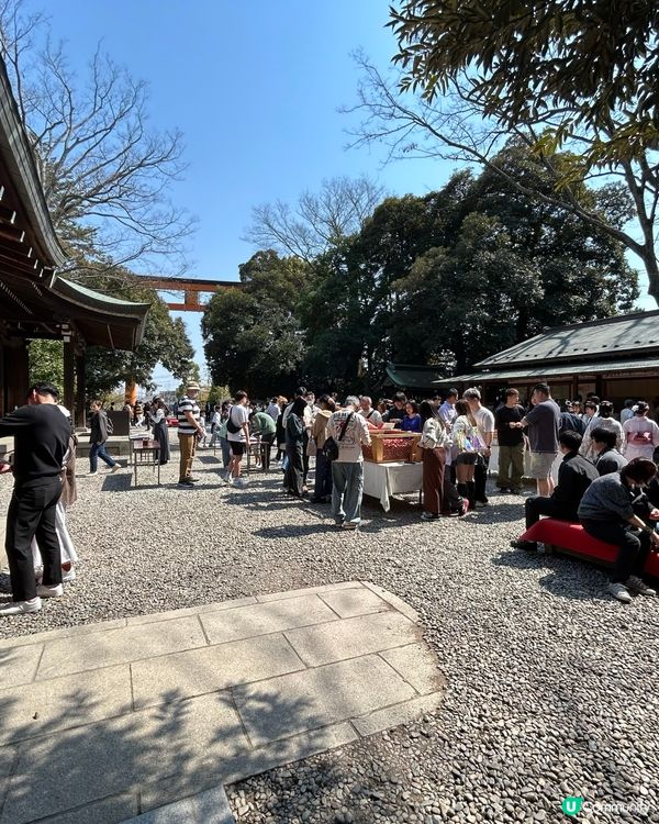 川越 - 求戀愛運的冰川神社⛩️