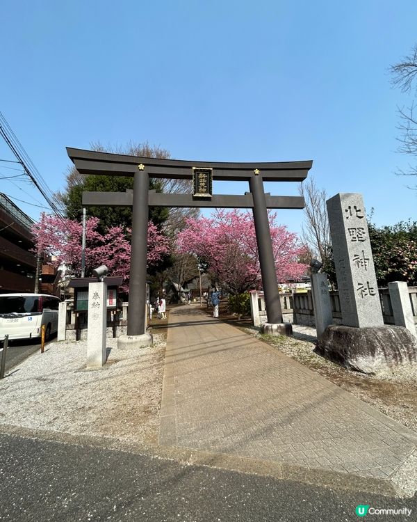 中野區 - 追櫻失敗🤣🤣🤣