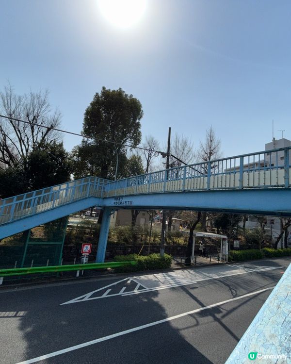 中野區 - 追櫻失敗🤣🤣🤣