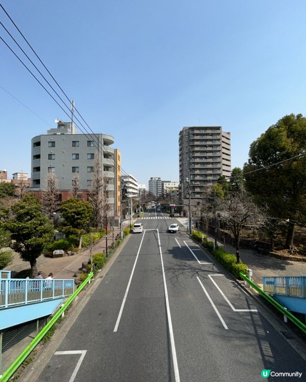 中野區 - 追櫻失敗🤣🤣🤣