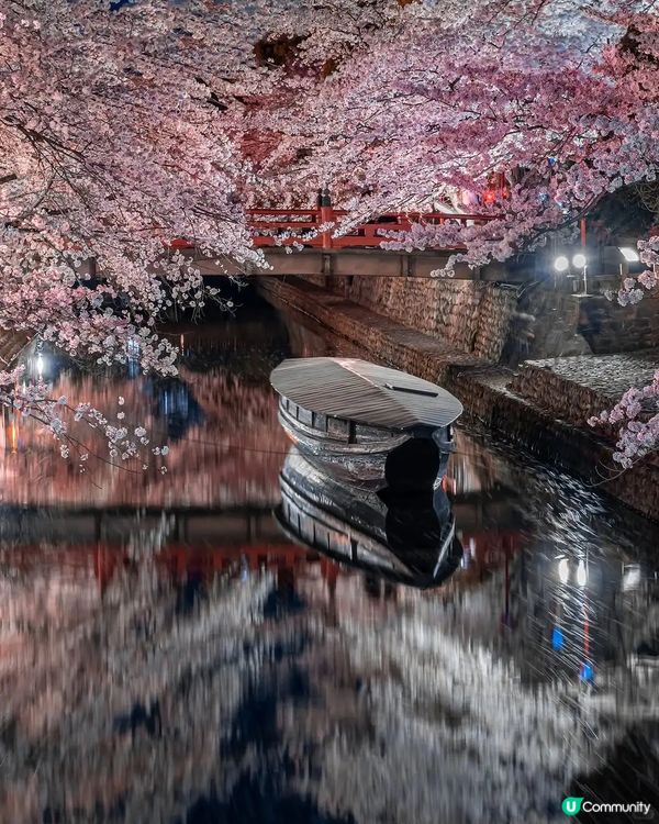 東京賞夜櫻🌸 超詳盡整理 必收藏