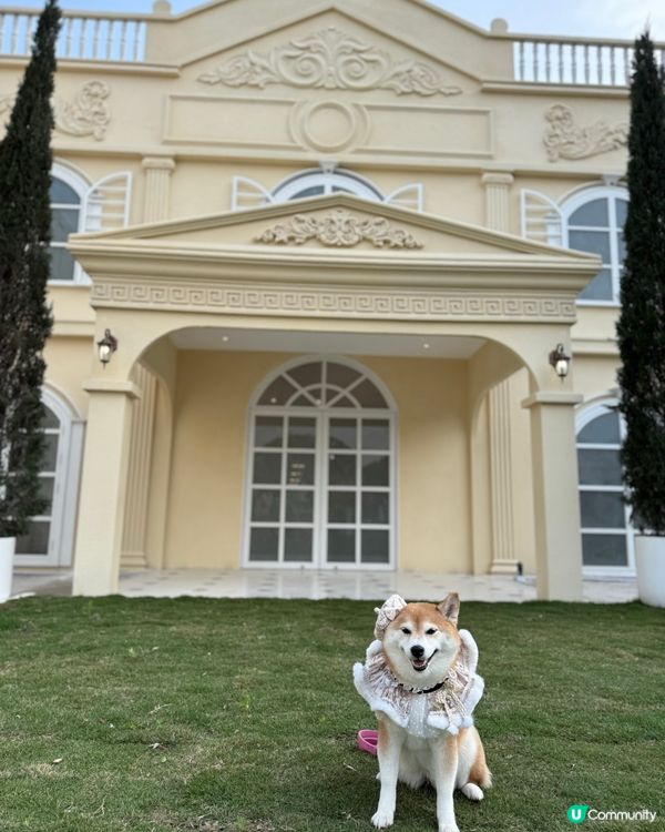 寵物友善結婚場地