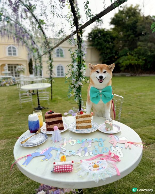 寵物友善結婚場地