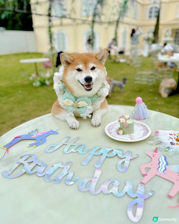 寵物友善結婚場地