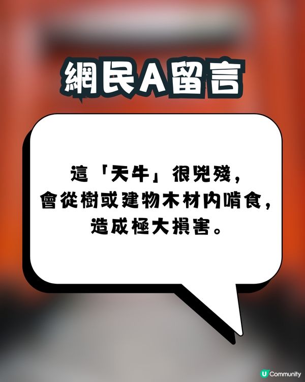 日本神社驚現「殺害請求」⁉️真實原因令人驚訝🙊㊙️網民：比XX還可怕