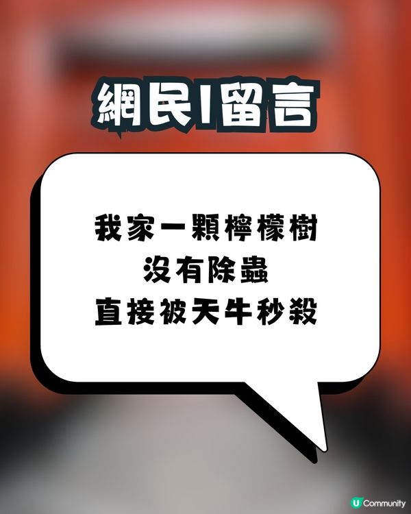 日本神社驚現「殺害請求」⁉️真實原因令人驚訝🙊㊙️網民：比XX還可怕