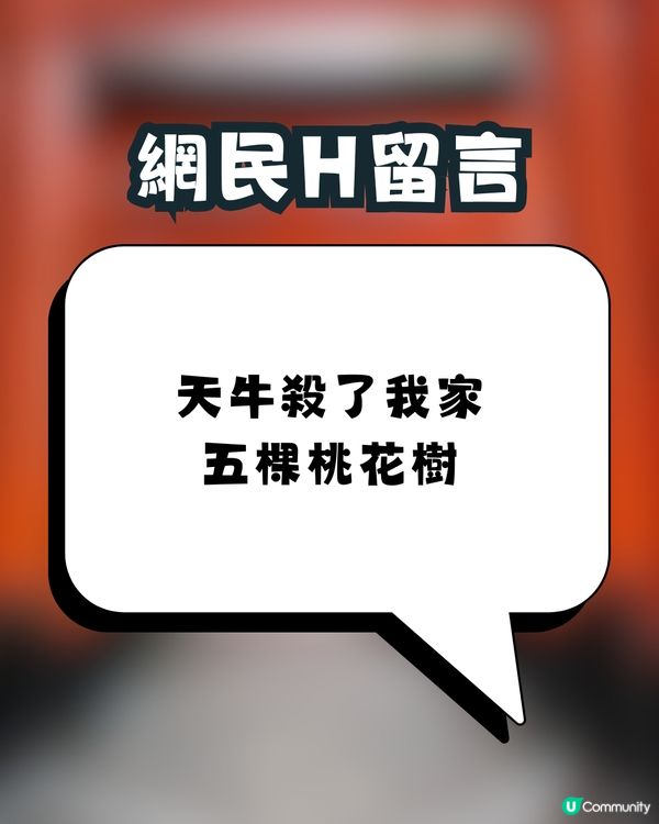 日本神社驚現「殺害請求」⁉️真實原因令人驚訝🙊㊙️網民：比XX還可怕