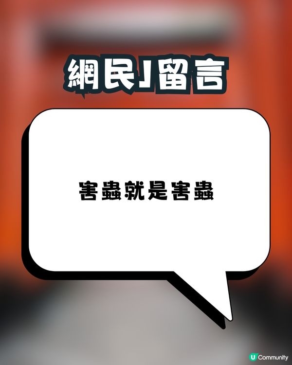 日本神社驚現「殺害請求」⁉️真實原因令人驚訝🙊㊙️網民：比XX還可怕