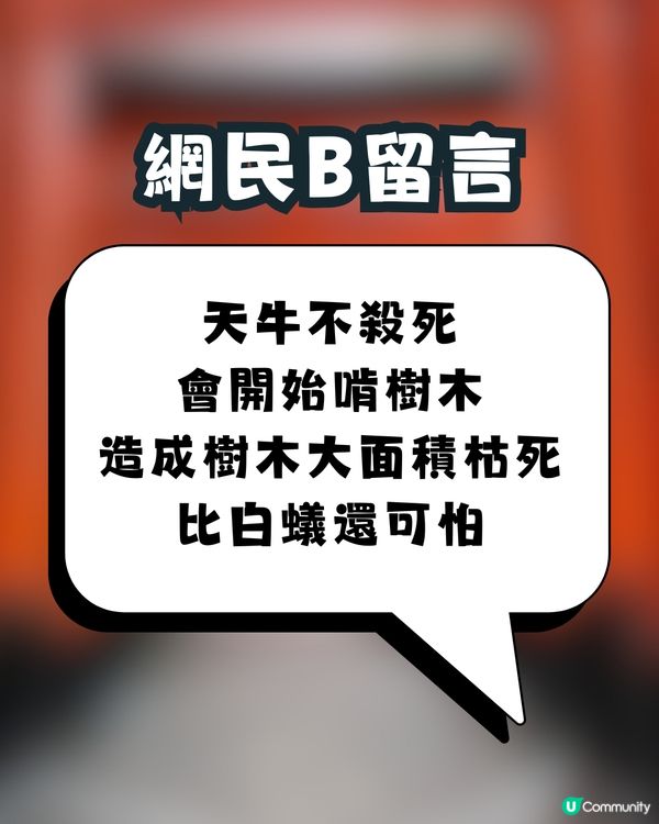 日本神社驚現「殺害請求」⁉️真實原因令人驚訝🙊㊙️網民：比XX還可怕