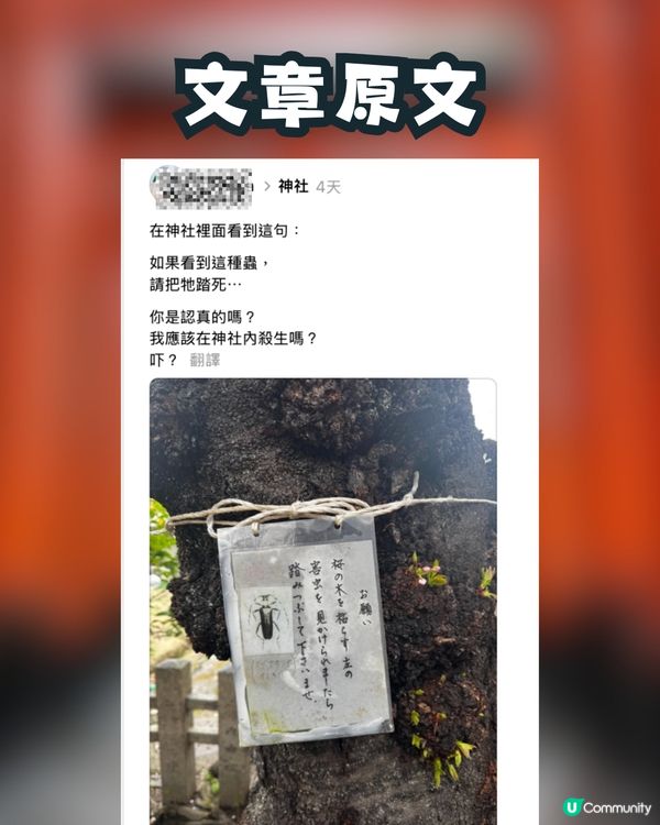 日本神社驚現「殺害請求」⁉️真實原因令人驚訝🙊㊙️網民：比XX還可怕
