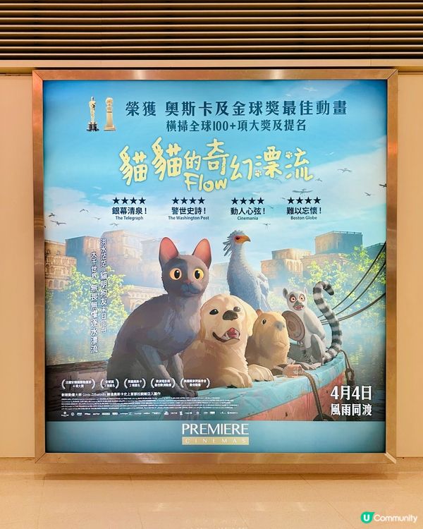 🐟 《 貓貓的奇幻漂流 》