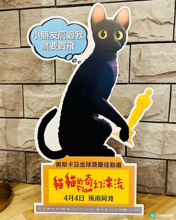 🐟 《 貓貓的奇幻漂流 》