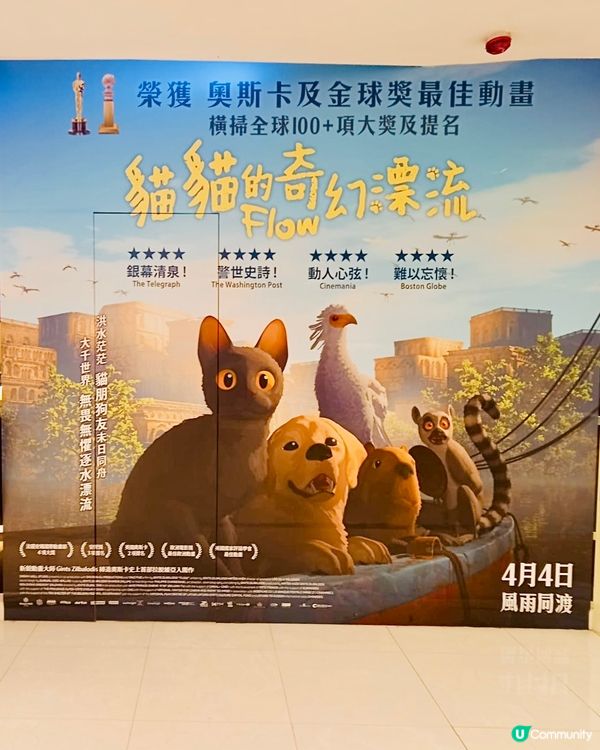 🐟 《 貓貓的奇幻漂流 》