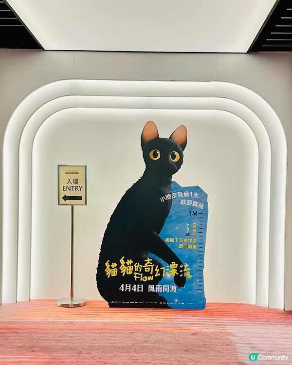 🐟 《 貓貓的奇幻漂流 》