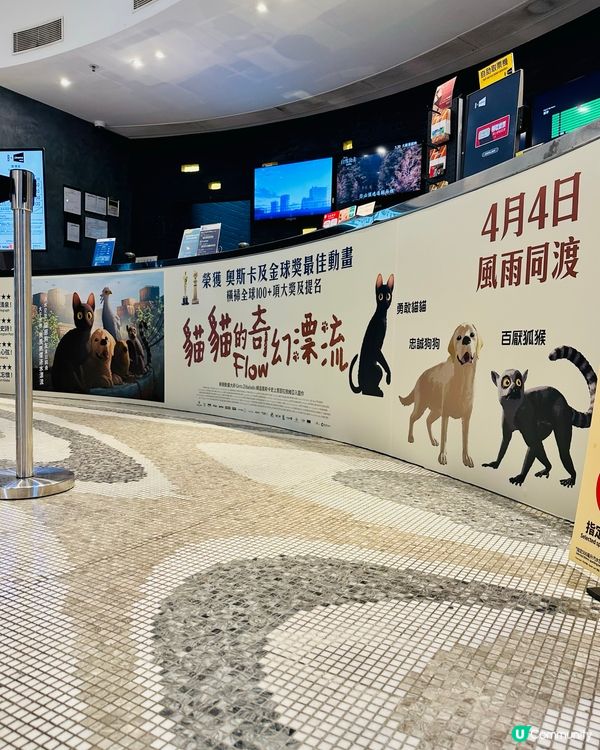 🐟 《 貓貓的奇幻漂流 》