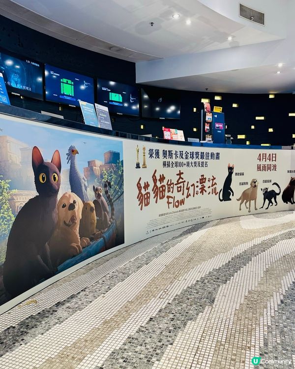 🐟 《 貓貓的奇幻漂流 》