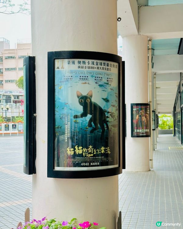 🐟 《 貓貓的奇幻漂流 》