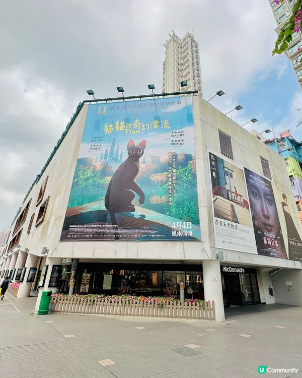 🐟 《 貓貓的奇幻漂流 》