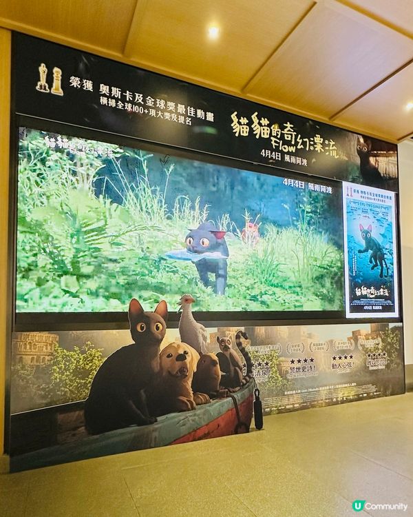 🐟 《 貓貓的奇幻漂流 》