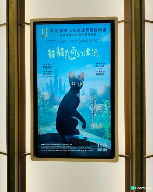 🐟 《 貓貓的奇幻漂流 》