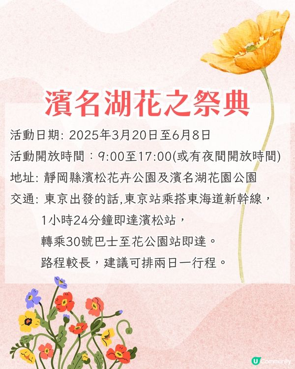 靜岡濱名湖花之祭典2025開幕🌸粉蝶花花海/櫻花/紫藤花庭院/玫瑰花園🚗附票價資訊