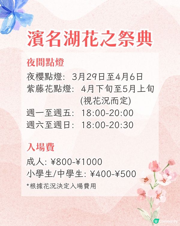 靜岡濱名湖花之祭典2025開幕🌸粉蝶花花海/櫻花/紫藤花庭院/玫瑰花園🚗附票價資訊