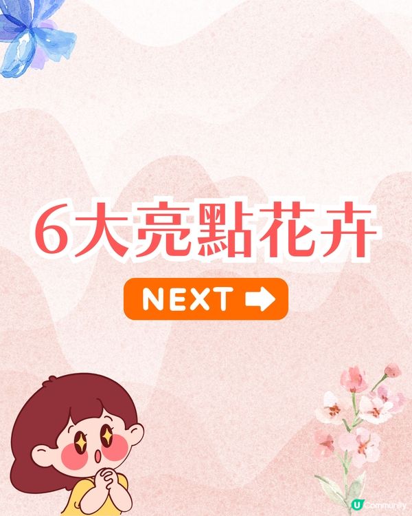 靜岡濱名湖花之祭典2025開幕🌸粉蝶花花海/櫻花/紫藤花庭院/玫瑰花園🚗附票價資訊