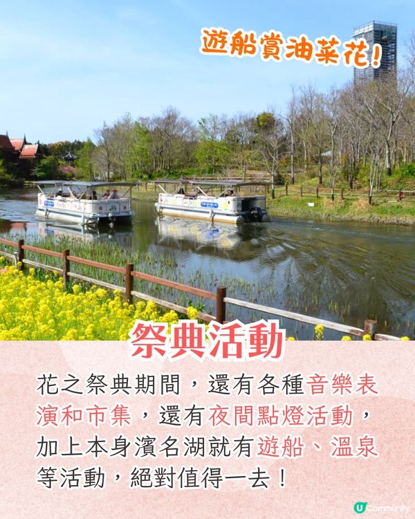 靜岡濱名湖花之祭典2025開幕🌸粉蝶花花海/櫻花/紫藤花庭院/玫瑰花園🚗附票價資訊