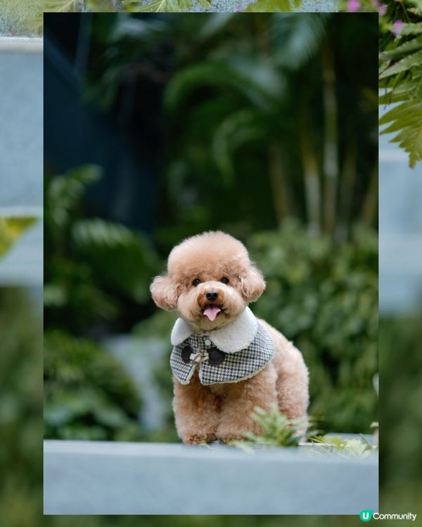 香港文青打卡好去處-瓊林街🤍💚