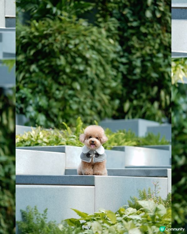 香港文青打卡好去處-瓊林街🤍💚
