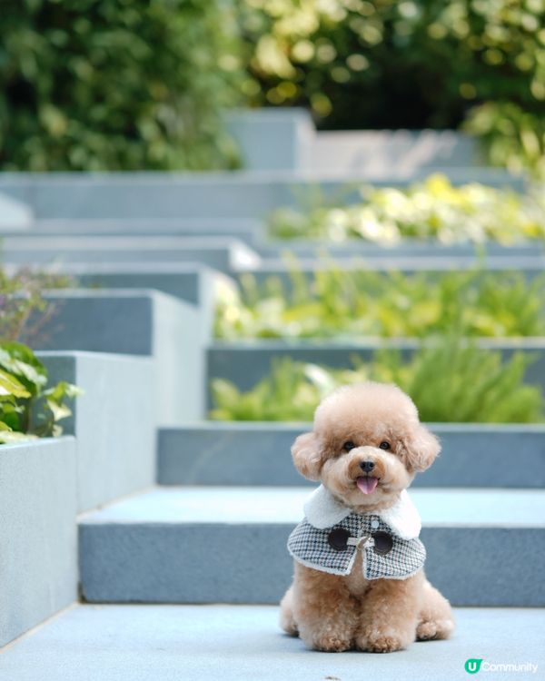 香港文青打卡好去處-瓊林街🤍💚