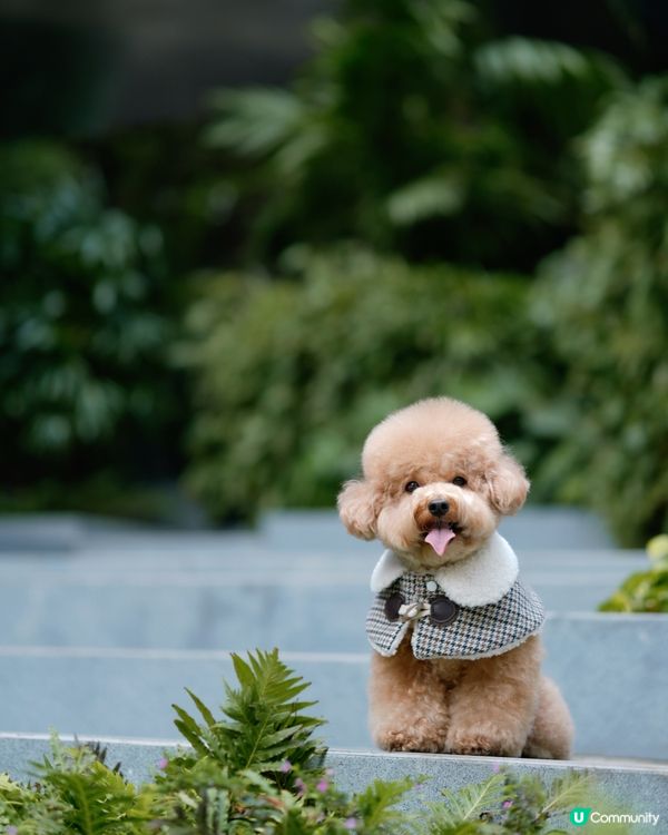 香港文青打卡好去處-瓊林街🤍💚
