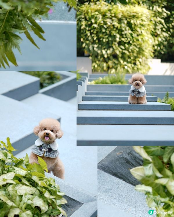 香港文青打卡好去處-瓊林街🤍💚