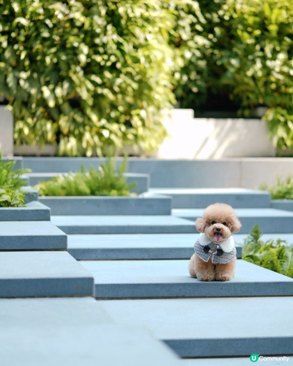香港文青打卡好去處-瓊林街🤍💚
