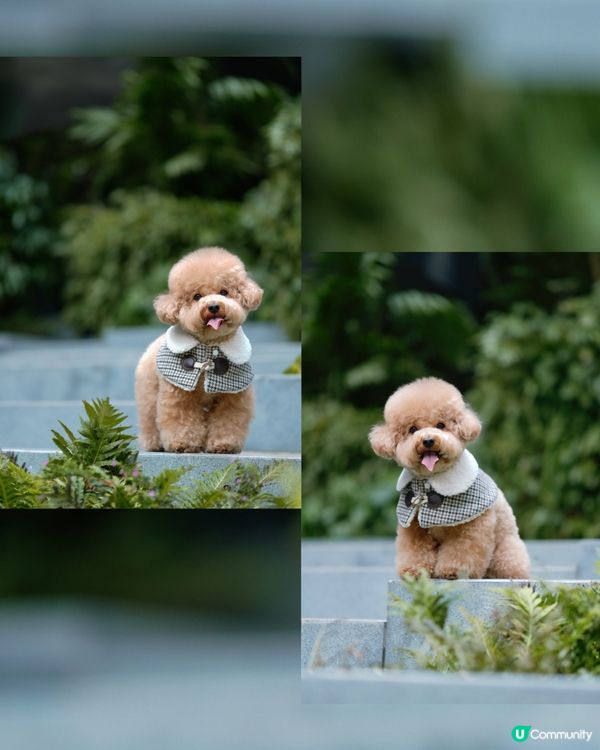 香港文青打卡好去處-瓊林街🤍💚